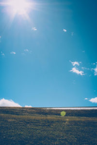 Meadow, blue sky, sun, backlight Meadow, blue sky, sun, backlight